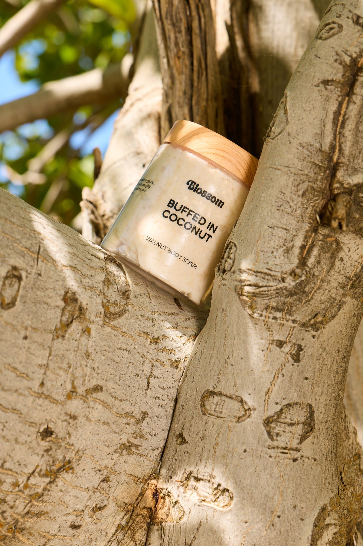 Buffed In Coco